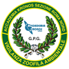 Accademia Kronos